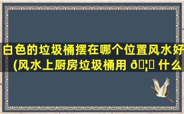 白色的垃圾桶摆在哪个位置风水好(风水上厨房垃圾桶用 🦅 什么颜色)